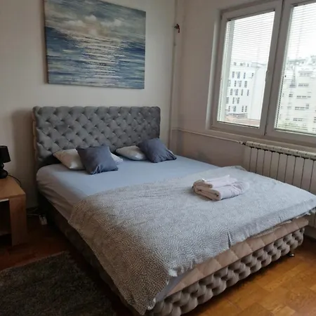 Anchy 베오그라드